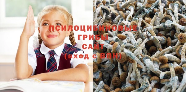 соль ск Алексин