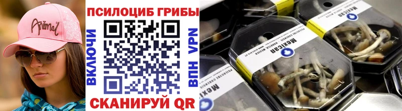 Галлюциногенные грибы Psilocybe  Купить  Мариинский Посад 